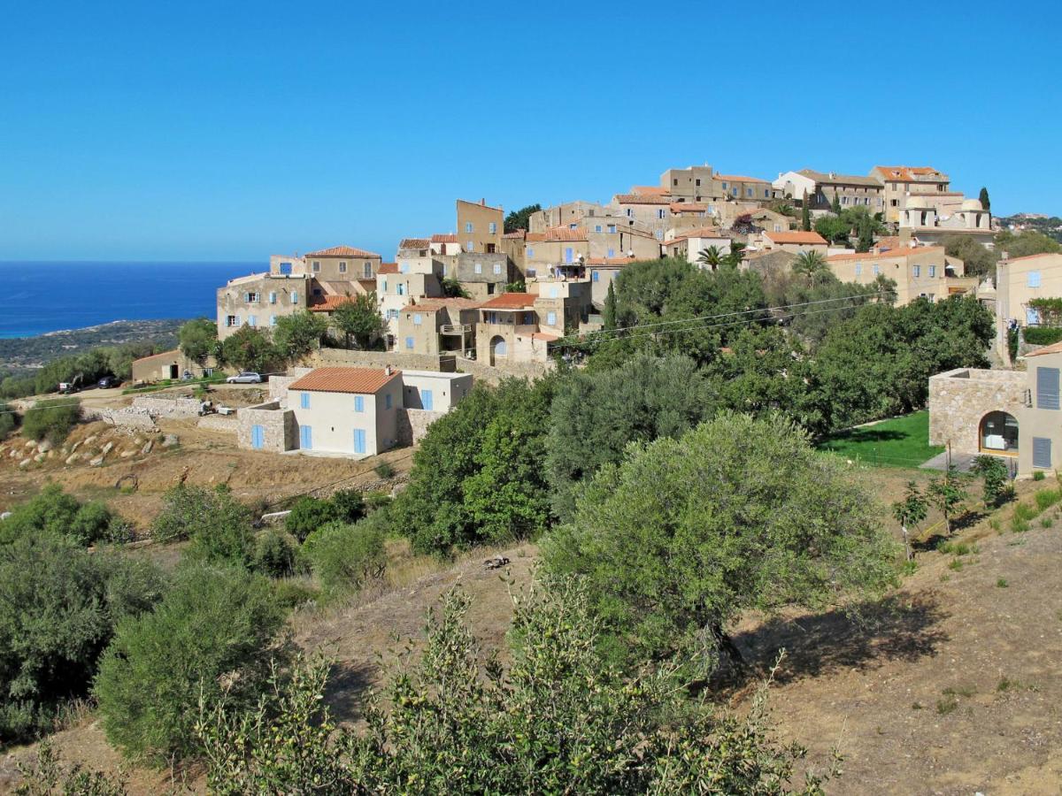 Apartment Thalassa - Cal200 By Interhome Corsica Island Eksteriør billede